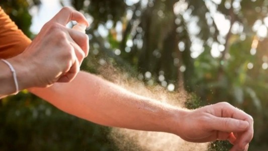 Dengue: los cuidados que deben tener quienes viajen por el finde largo