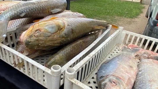 Gran demanda en la Feria del Pescado: advierten por escasez del sábalo