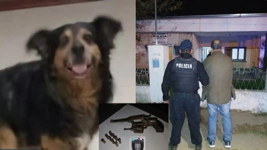 Santo Tomé: un hombre mató de un tiro al perro del vecino y quedó detenido