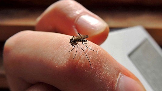 Dengue: falleció un joven de 25 años en el sur de la provincia