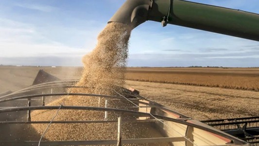 La liquidación de agro exportadores subió 32% en abril en forma interanual