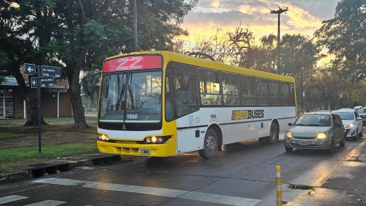 Comenzó a funcionar la línea 22: cuál es su recorrido