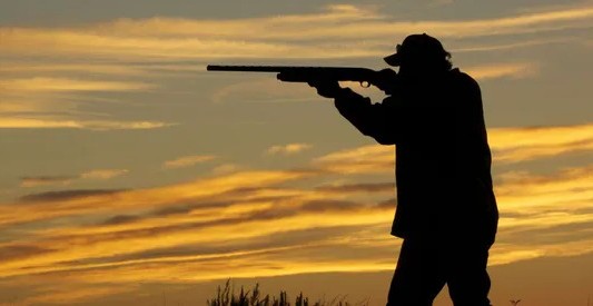 Trágico: en un campo santafesino, un cazador murió tras recibir un disparo en la cabeza