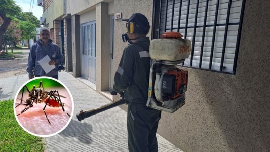 Dengue: la provincia superó los nueve mil contagios