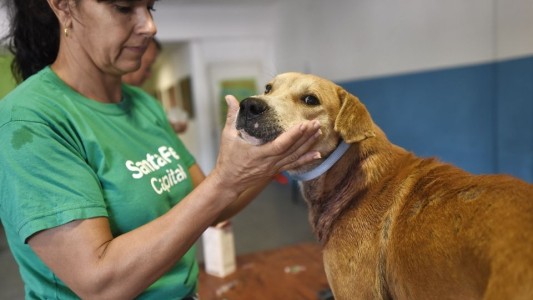 Barrio San Agustín: el IMUSA realizará castraciones gratuitas