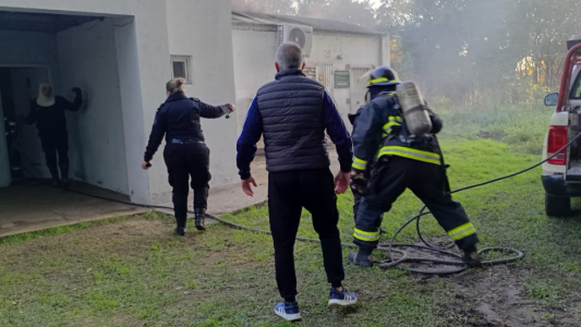Doce animales murieron tras incendio en la granja La Esmeralda