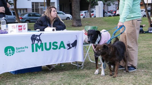 El IMUSA realizará atenciones gratuitas en el barrio Guadalupe Oeste