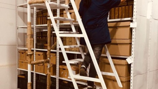 Día Internacional de los Archivos: un accionar clave para la transparencia