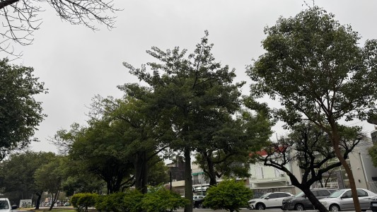 ¿Cuánto llovió y cómo seguirá el tiempo en Santa Fe durante el fin de semana?