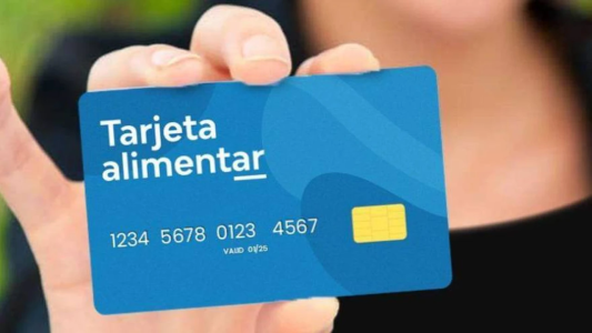 Tarjeta Alimentar: cuánto pagará ANSES en julio tras los aumentos
