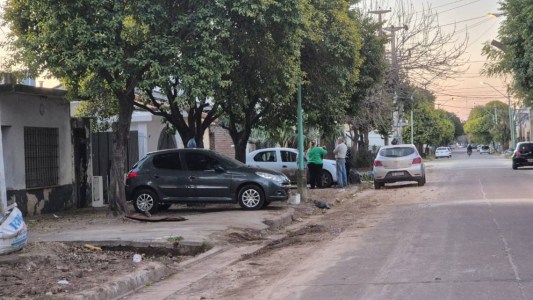 Santo Tomé: Brutal ataque de un perro pitbull a dos mujeres que fueron internadas