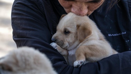 IMUSA realizó más de 10.000 atenciones durante el mes de junio