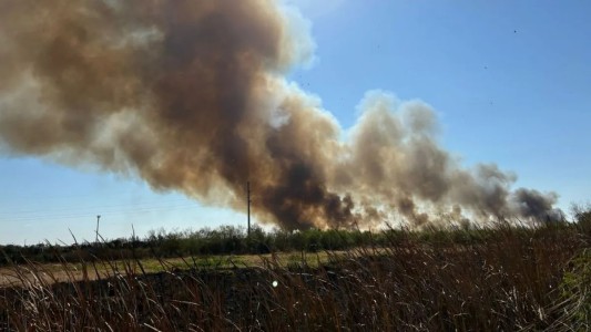 Incendios en el área metropolitana: advierten que los llamados se han incrementado en julio