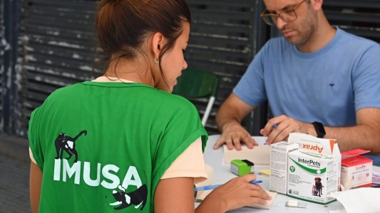 El IMUSA realizará castraciones masivas en barrio Centenario