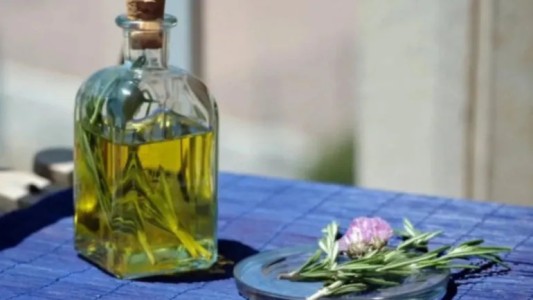 Por qué se toma caña con ruda el 1° de agosto