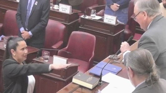 Convención Constituyente: Verónica Colombo juró en reemplazo de Locmotora Oliveras