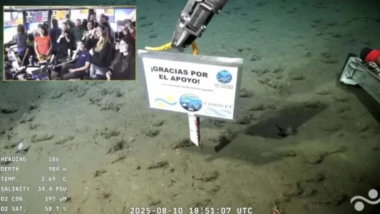 Fin de la expedición del Conicet en Mar del Plata: ¿Cuándo será la próxima?