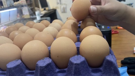 Récord en el consumo de huevos en Argentina: 380 unidades per cápita en seis meses