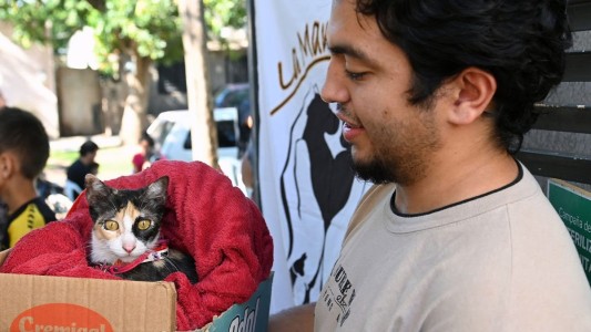 El IMUSA realizará castraciones masivas en barrio Pompeya