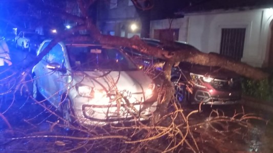 Agua acumulada y árboles caídos, el saldo de la tormenta en Santa Fe