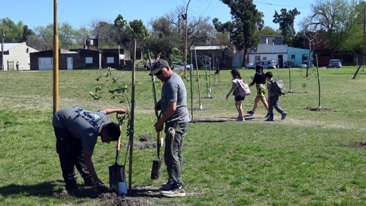 Por el Día Nacional del Árbol, la ciudad sumará 2.000 ejemplares nuevos
