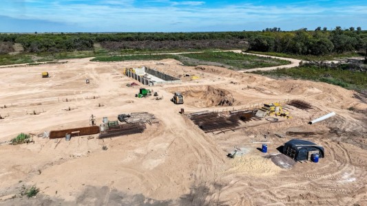Desmontaban un bosque nativo en el departamento 9 de Julio