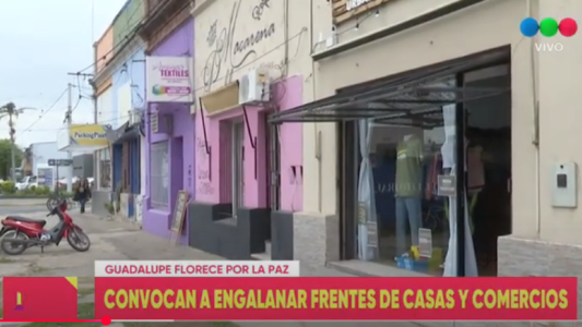 “Guadalupe Florece”: el barrio se llena de color en el mes de la primavera