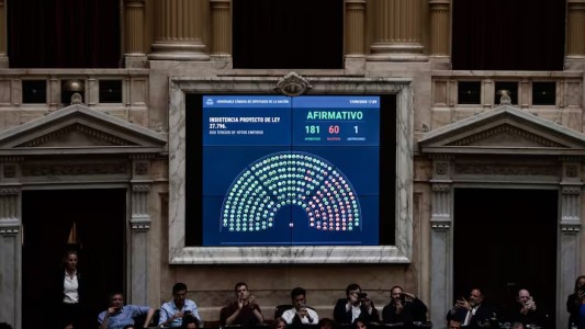 Vetos a las leyes de universidades y el Garrahan: cómo votaron los diputados santafesinos