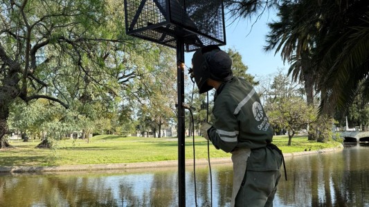 El municipio coloca paneles solares para iluminar las islas del Parque Garay