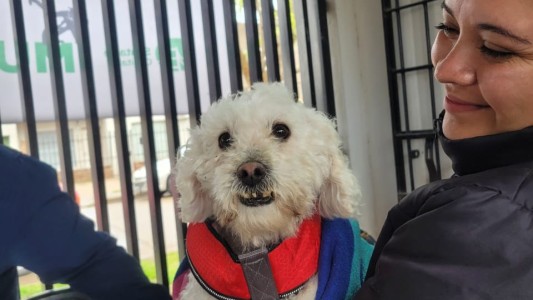 El IMUSA realizó más de 300 intervenciones en barrio San Lorenzo