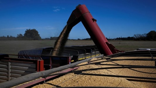 Celebran la quita de retenciones pero le piden al gobierno más previsibilidad