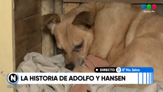 Día del Perro Adoptado: la historia de Adolfo y Hansen, una adopción que cambió dos vidas