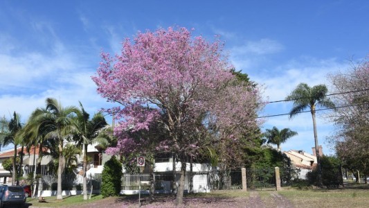 Buen tiempo para este jueves en la ciudad de Santa Fe