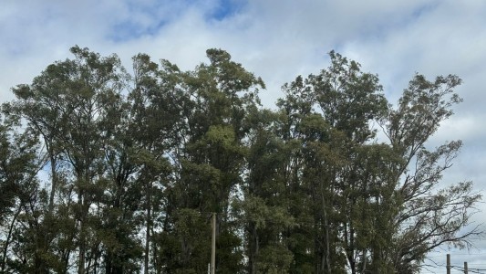 Alerta amarilla por vientos fuertes: Las recomendaciones para este sábado