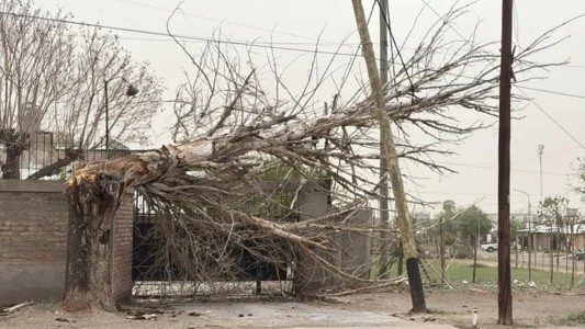 Temporal en Mendoza: un muerto, vuelos suspendidos y graves daños por el viento