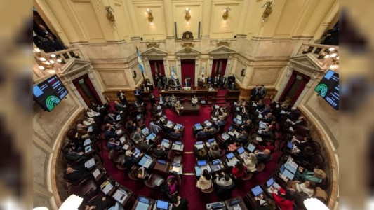 El Senado sesionará este jueves para rechazar los vetos de Milei en Garrahan y universidades
