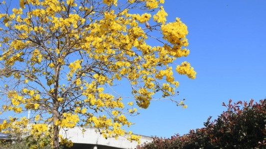 Comienza a subir la temperatura en la ciudad: así se presenta el martes en Santa Fe