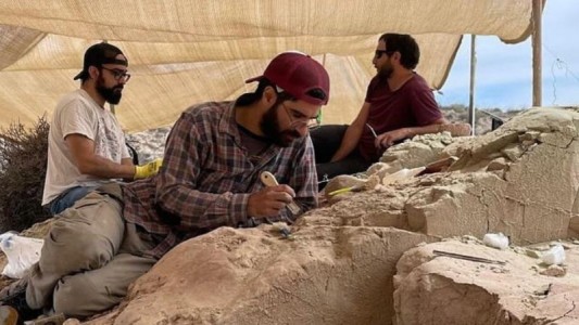 Expedición Cretácica: encuentran el huevo de dinosaurio mejor conservado del mundo en la Patagonia