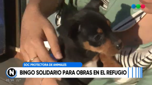 Te-Bingo a beneficio de la Protectora de Animales