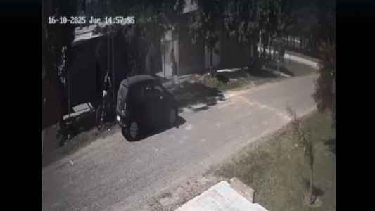 Maltrato animal en Sauce Viejo: el descargo del abogado involucrado