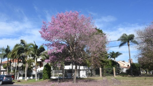 Sube la temperatura en Santa Fe: así se presenta el martes en la ciudad