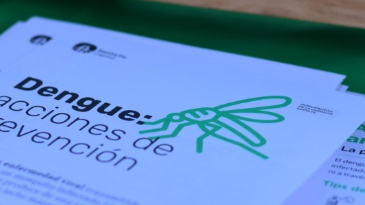 Se confirmó la presencia del vector del dengue en 16 barrios de la ciudad de Santa Fe