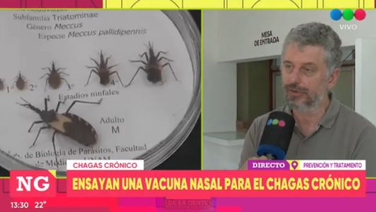 Investigadores santafesinos desarrollan una vacuna nasal para prevenir y tratar el Chagas crónico
