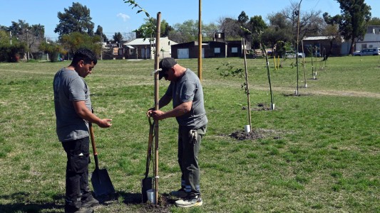 En los últimos dos años, el Vivero Municipal produjo más de 15.000 plantines arbóreos