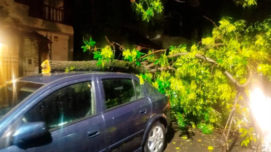 Intenso temporal en Paraná provocó daños y anegamientos