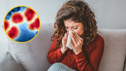 Advierten un aumento “nunca visto” de casos de gripe H3N2 por una nueva variante