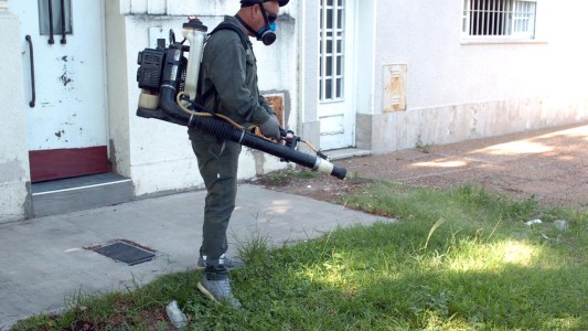 Dengue en Santa Fe: se activó protocolo y bloqueo en barrio Sur