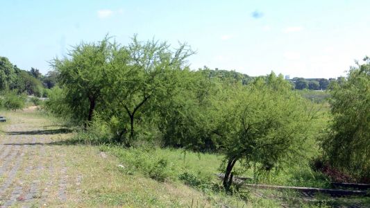 Realizarán tareas de mantenimiento en el talud de la Costanera Oeste