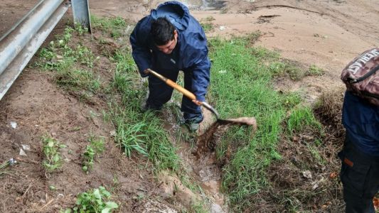Lo que dejó la tormenta en Santa Fe: cayeron 29 árboles y más de 20 postes