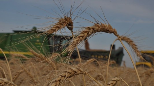 Nueva rebaja de retenciones para el campo: así quedaron las nuevas alícuotas